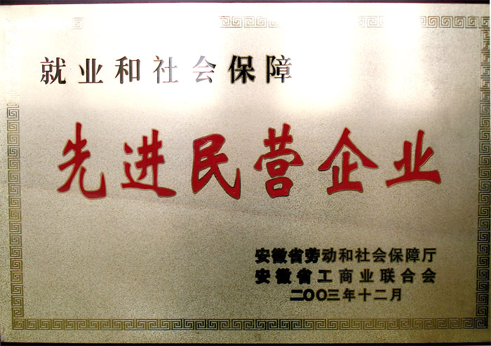 先進(jìn)民營企業(yè)